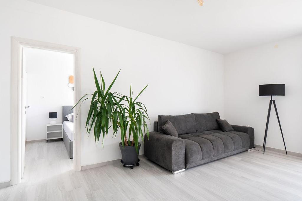 Apartments Grubisic - Sibenik - Parking Included 外观 照片